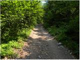 Koncentracijsko taborišče - Planina Korošica